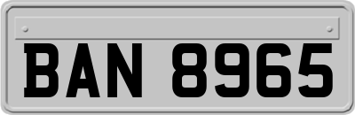 BAN8965