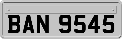 BAN9545