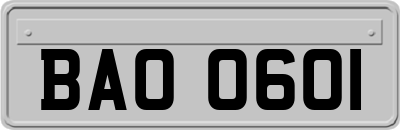 BAO0601