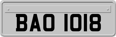 BAO1018