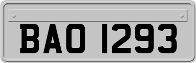 BAO1293