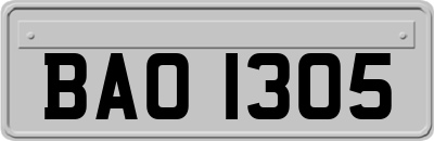 BAO1305