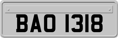 BAO1318