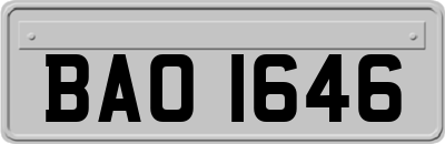 BAO1646