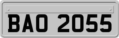 BAO2055
