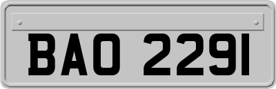 BAO2291