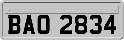 BAO2834