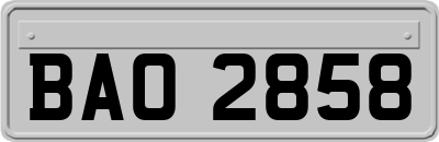 BAO2858