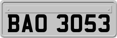BAO3053