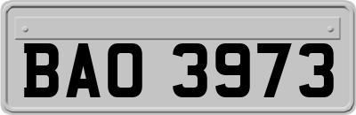 BAO3973