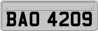 BAO4209