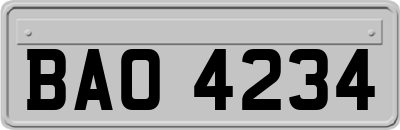BAO4234