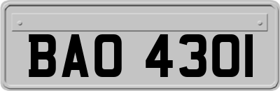 BAO4301