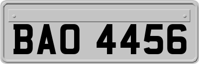 BAO4456