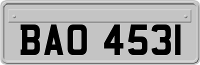 BAO4531
