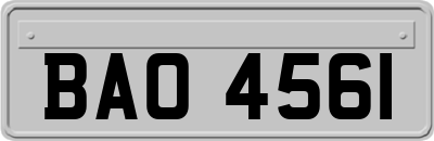 BAO4561