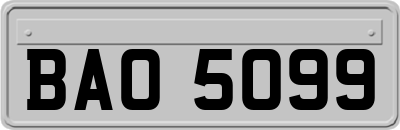 BAO5099