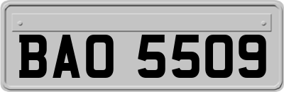 BAO5509