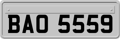 BAO5559
