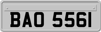 BAO5561