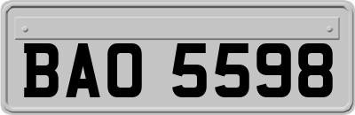 BAO5598
