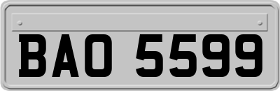 BAO5599