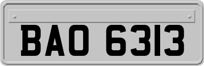 BAO6313