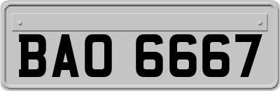 BAO6667