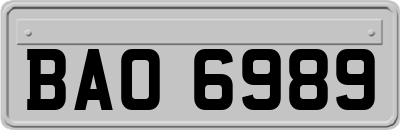 BAO6989