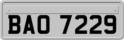 BAO7229