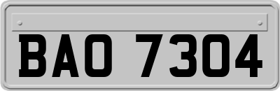 BAO7304