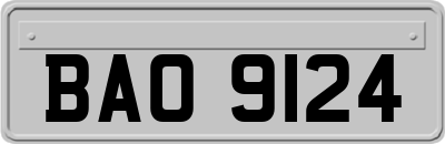 BAO9124