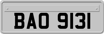 BAO9131
