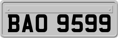 BAO9599