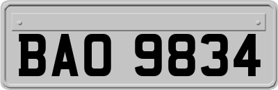 BAO9834