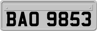 BAO9853