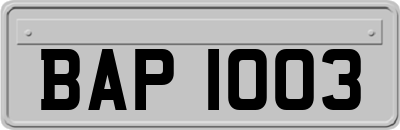 BAP1003