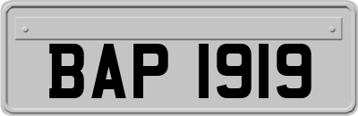 BAP1919