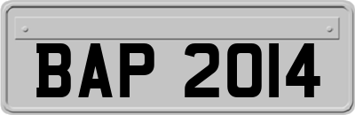 BAP2014