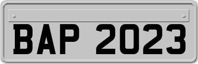 BAP2023