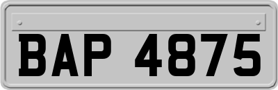BAP4875