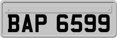 BAP6599