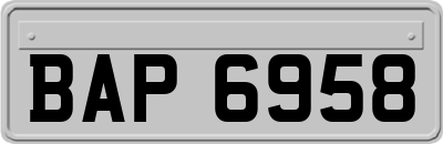 BAP6958