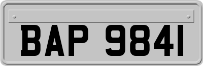 BAP9841