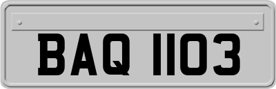 BAQ1103