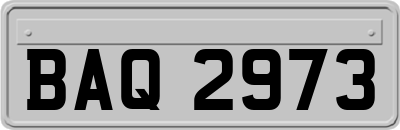 BAQ2973