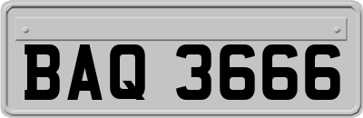 BAQ3666