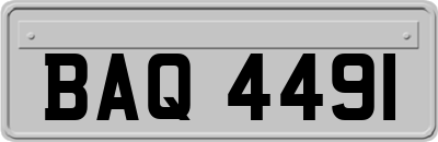 BAQ4491