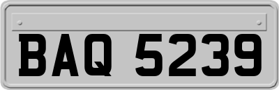 BAQ5239