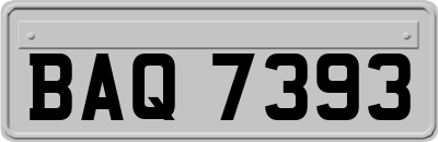 BAQ7393